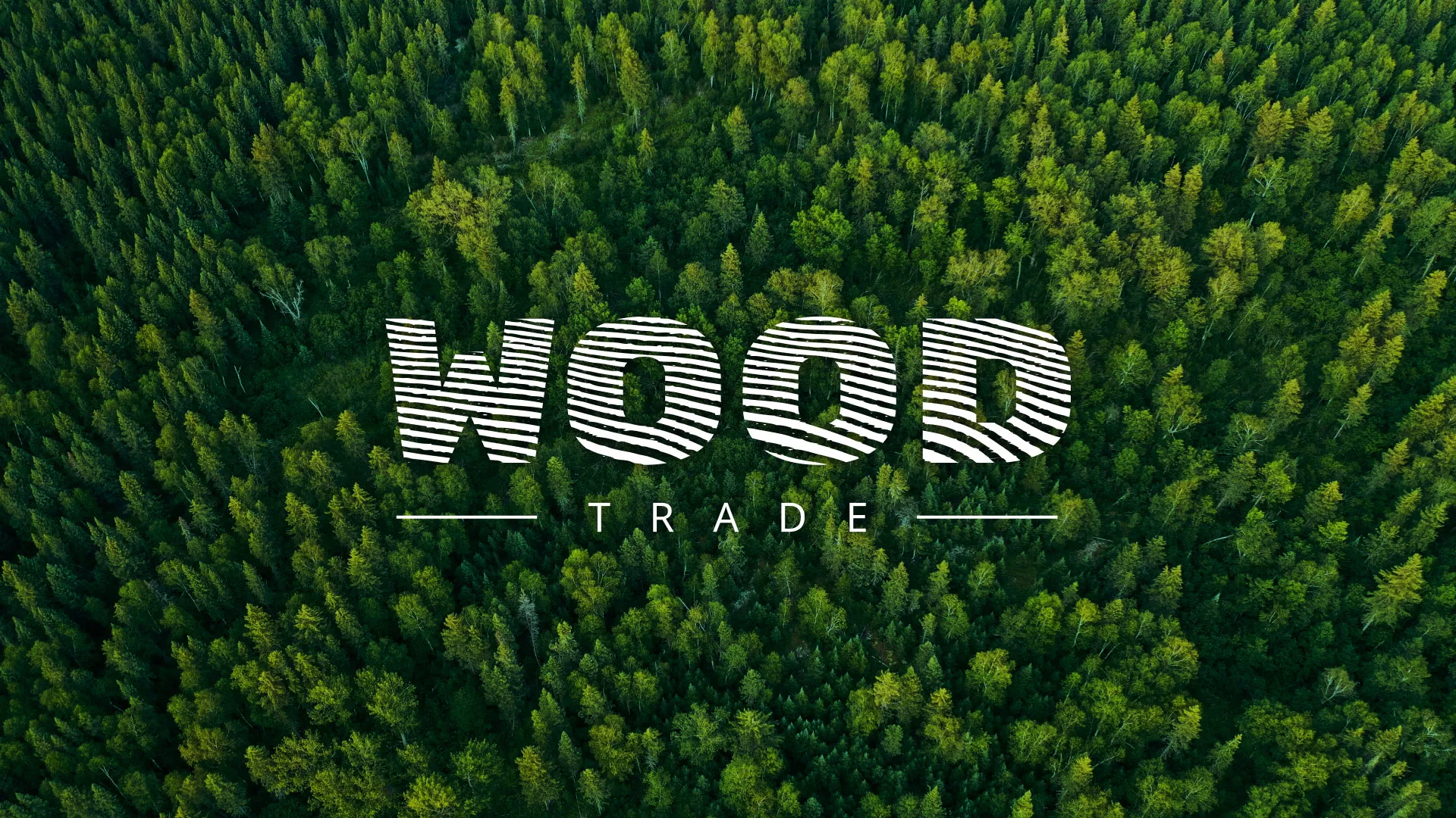 Разработка интернет-магазина компании «Wood Trade» в Ядрине
